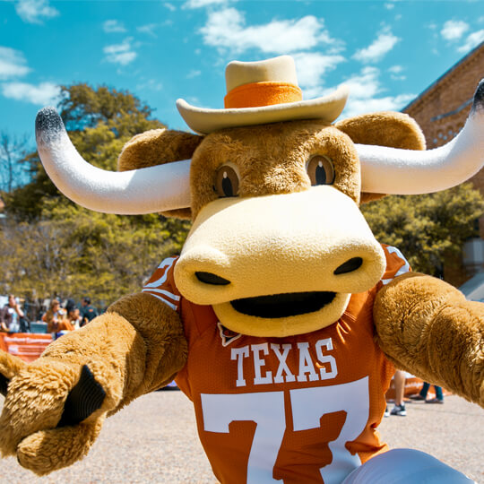 Bevo mascot wearing University of Texas jersey